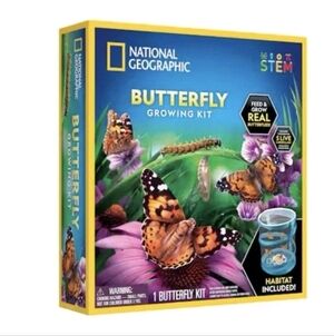 National Geographic Butterfly growing Kit